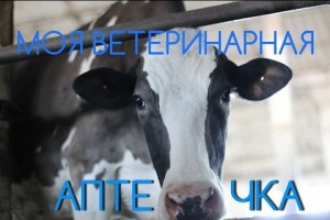 Ветеринарна аптечка. Частина 2. Тимпанія, гіпотонія та атонія рубця, пологи, мастит.
