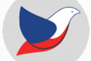 Застосування та дозування препаратів для голубів