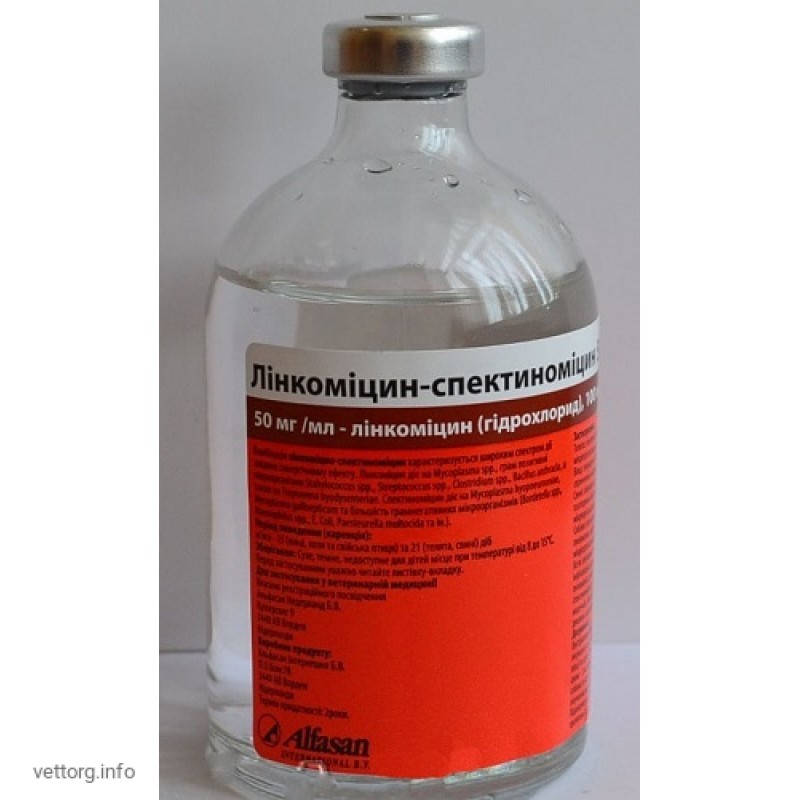 Линкомицин-спектомицин р-р ин., 100 мл (Alfasan)|Купить, цена, отзывы