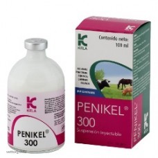 Пені-кел 300, 250 мл. (Kela)