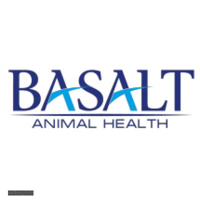 Синій йод, 10 л. (Базальт)