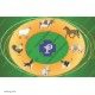 Настойка чемерицы, 500 мл. (УВПП)