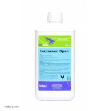 Інтракокс Орал, 1 л. (Interchemie)