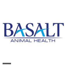 Мелоксікам таблетки, 2 мг, № 20 (Базальт)