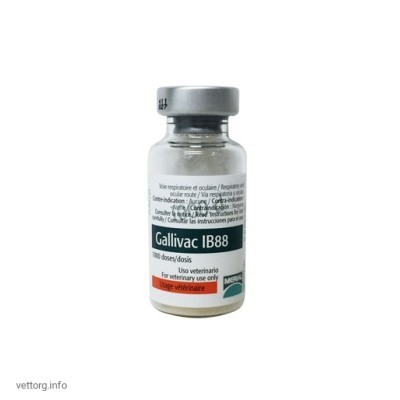 Галлівак IB88, 1000 доз (Merial)