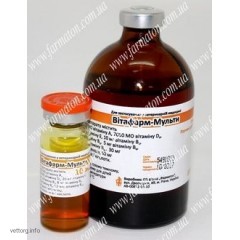 Вітафарм мульті (АДЕ група В), 100 мл. (Фарматон)